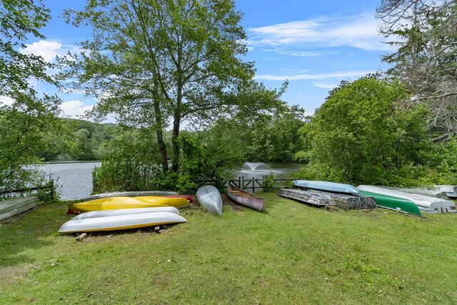 41 Birch Trl, Carmel, NY 10512 - photo 45