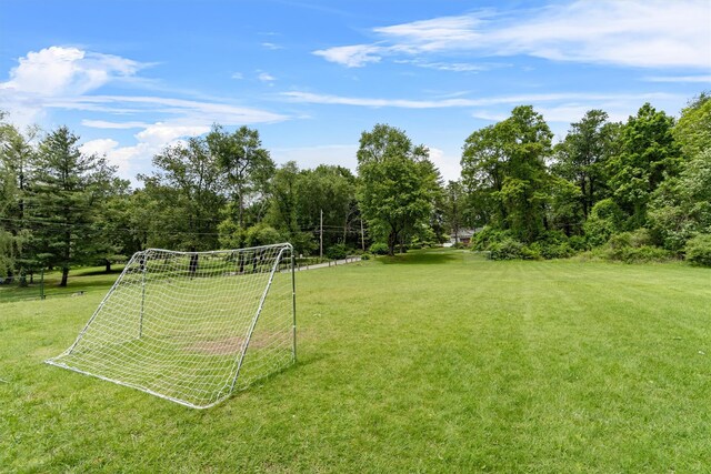 41 Birch Trl, Carmel, NY 10512 - photo 47