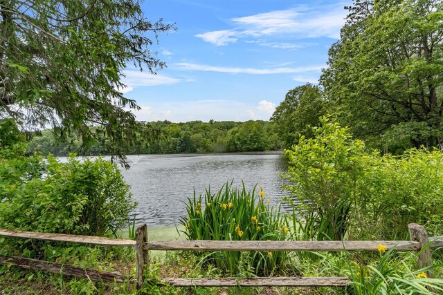 41 Birch Trl, Carmel, NY 10512 - photo 48