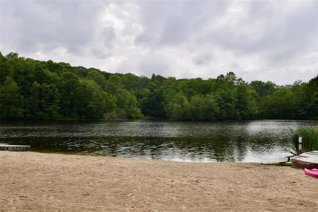 41 Birch Trl, Carmel, NY 10512 - photo 49