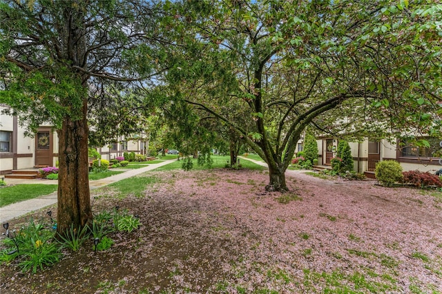 274 Cherry Valley Ave Unit B-2, Garden City, NY 11530 - view of yard