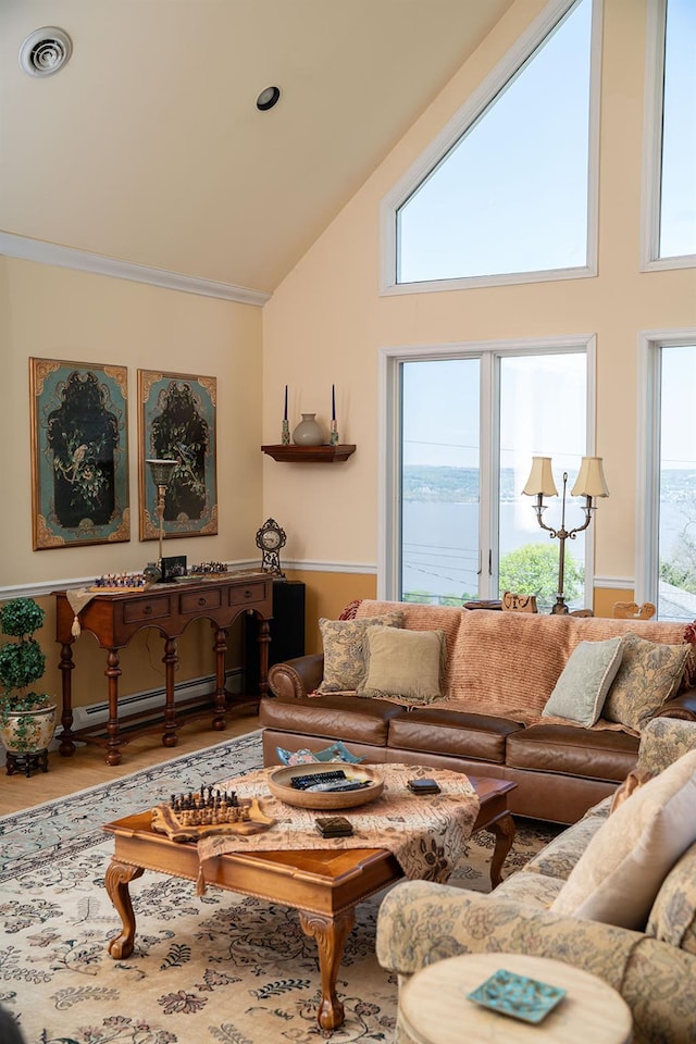 235 S Blvd, Nyack, NY 10960 - living area featuring a baseboard radiator, high vaulted ceiling, and wood finished floors