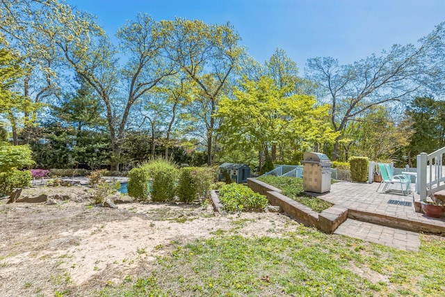 view of yard with a storage shed, an outbuilding, and a patio area
