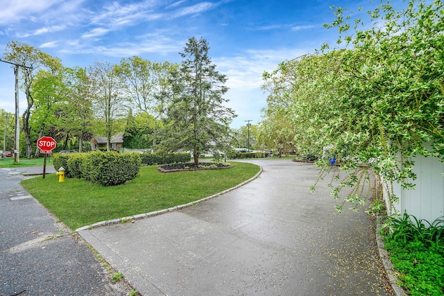 view of home's community with a yard