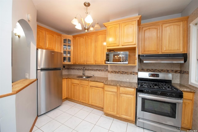 kitchen featuring a sink, stainless steel appliances, decorative backsplash, under cabinet range hood, and glass insert cabinets