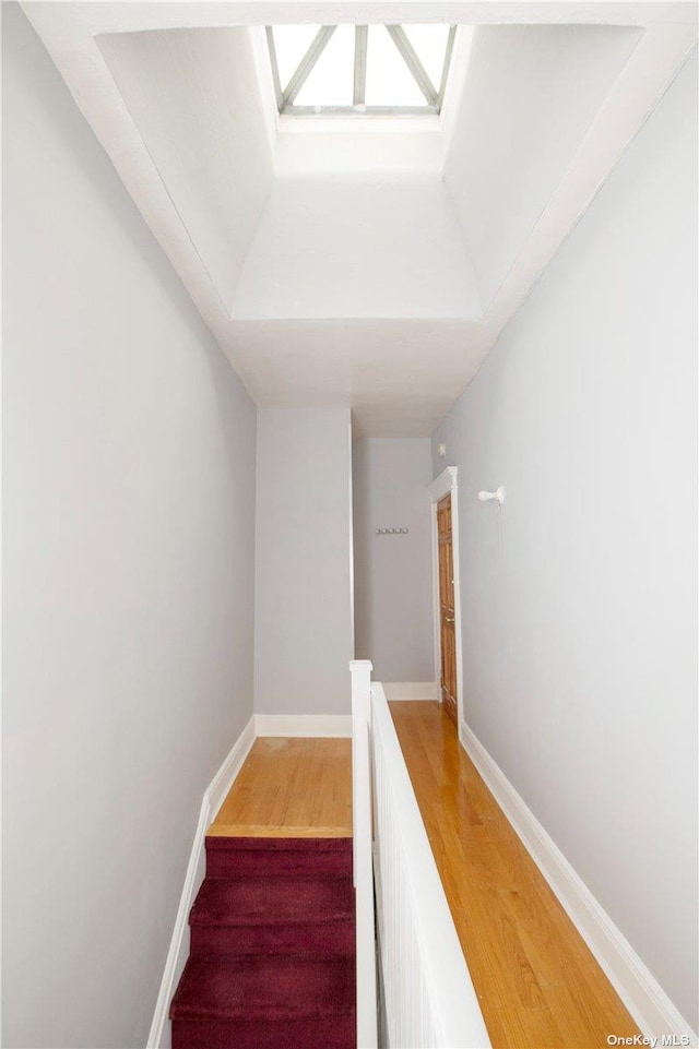 stairs featuring wood finished floors