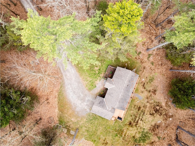 15 Chapin Trl, White Lake, NY 12720 - aerial view