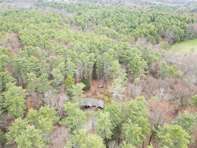 15 Chapin Trl, White Lake, NY 12720 - birds eye view of property featuring a wooded view