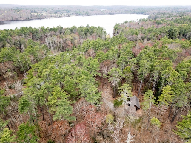 15 Chapin Trl, White Lake, NY 12720 - drone / aerial view with a forest view and a water view