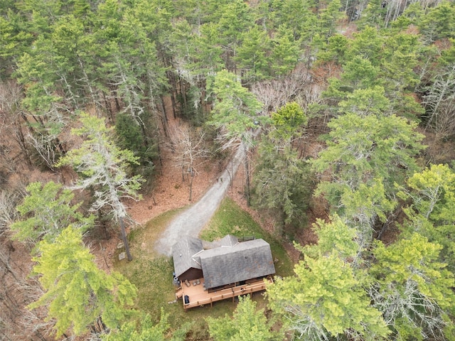 15 Chapin Trl, White Lake, NY 12720 - aerial view