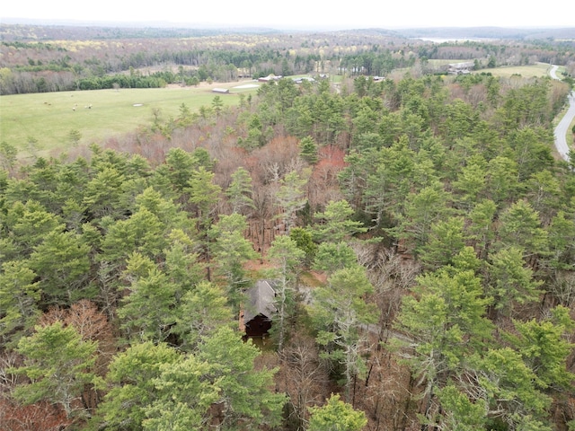 15 Chapin Trl, White Lake, NY 12720 - aerial view with a forest view