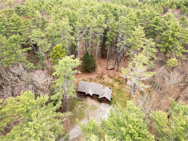 15 Chapin Trl, White Lake, NY 12720 - birds eye view of property with a view of trees