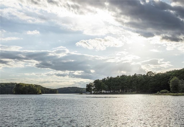 15 Chapin Trl, White Lake, NY 12720 - water view