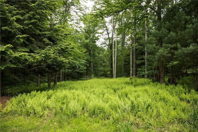 15 Chapin Trl, White Lake, NY 12720 - view of landscape with a forest view
