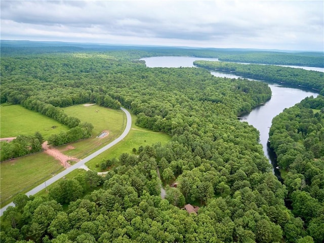 15 Chapin Trl, White Lake, NY 12720 - drone / aerial view with a water view and a wooded view
