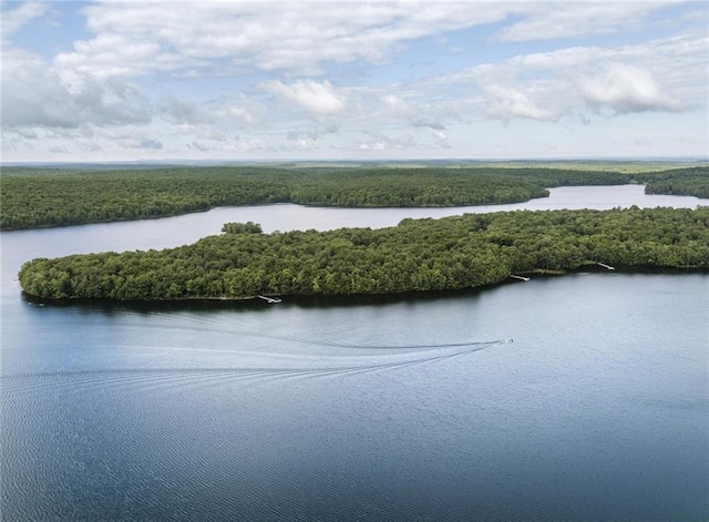 15 Chapin Trl, White Lake, NY 12720 - water view featuring a view of trees