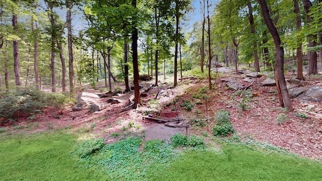 view of local wilderness
