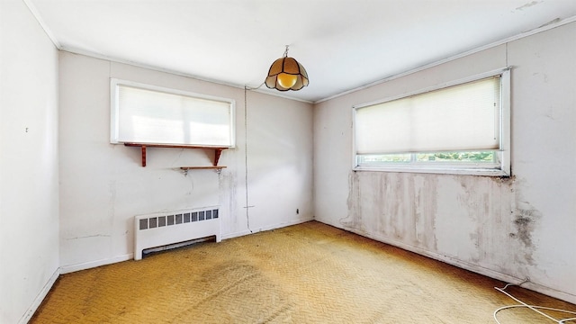 42 Juniper Hill Rd, White Plains, NY 10607 - photo 10