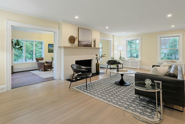 490 Bellwood Ave, Sleepy Hollow, NY 10591 - living room featuring baseboard heating, wood finished floors, ornamental molding, healthy amount of natural light, and recessed lighting