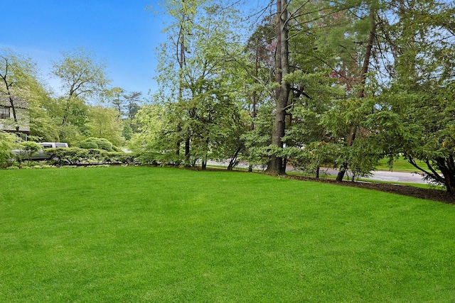 490 Bellwood Ave, Sleepy Hollow, NY 10591 - view of grassy yard