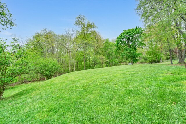 59 Longdale Rd, Mahopac, NY 10541 - view of green lawn