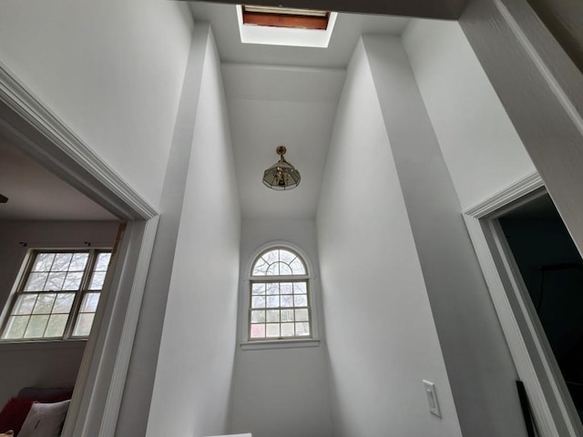 room details with a skylight