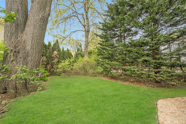 view of yard