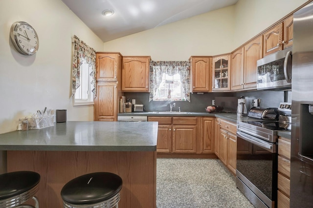 kitchen featuring lofted ceiling, appliances with stainless steel finishes, plenty of natural light, and a kitchen bar