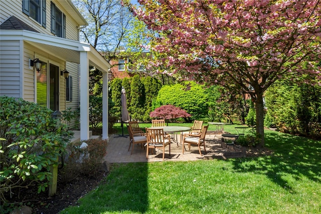 131 2nd St, Garden City, NY 11530 - view of green lawn with a patio