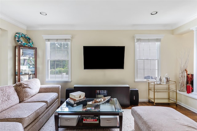 131 2nd St, Garden City, NY 11530 - living area with ornamental molding, dark wood-style flooring, baseboards, and recessed lighting