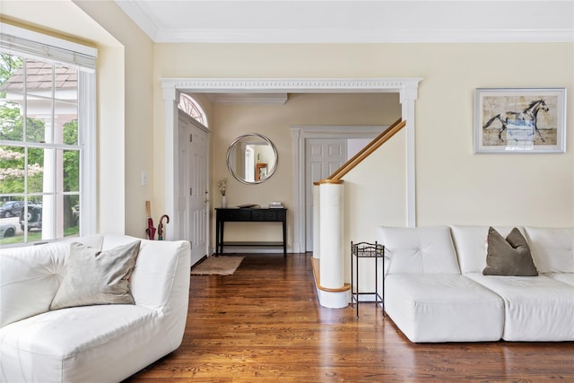 131 2nd St, Garden City, NY 11530 - living room with crown molding and dark wood-style flooring
