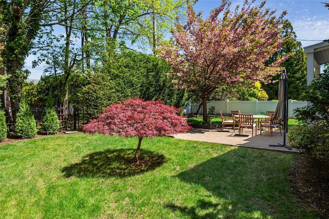 131 2nd St, Garden City, NY 11530 - view of yard with a patio area