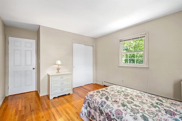 35 Capt Faldermeyer Dr, Stony Point, NY 10980 - bedroom featuring a closet, light wood finished floors, and baseboards