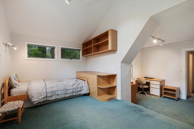 67 Walbrooke Rd, Scarsdale, NY 10583 - bedroom with rail lighting, carpet floors, an office area, and vaulted ceiling