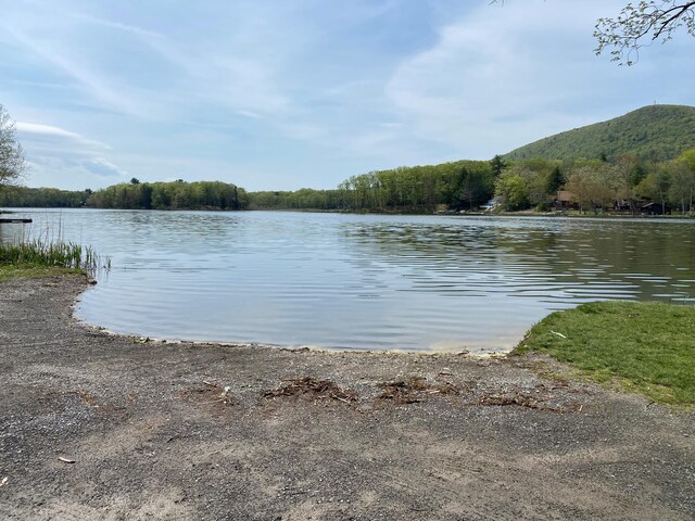 48 Woodside St, Pine Plains, NY 12567 - photo 22