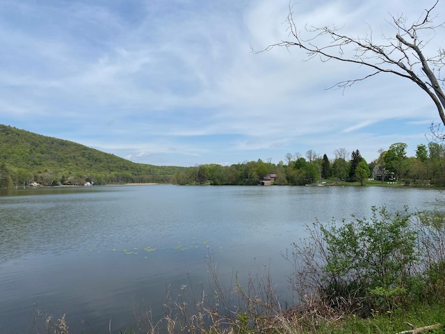 48 Woodside St, Pine Plains, NY 12567 - photo 23