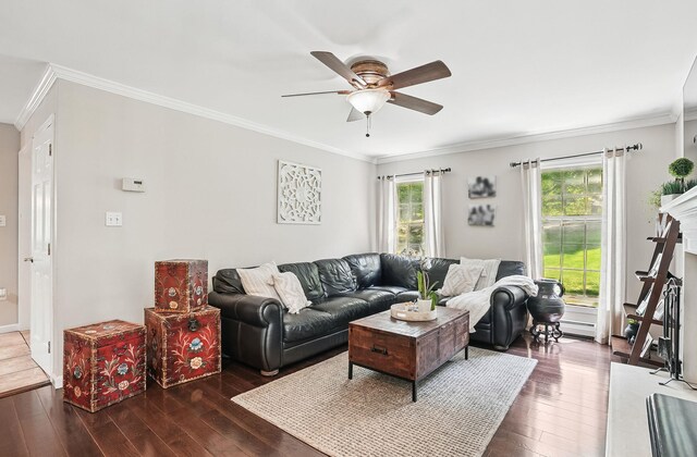 304 Church Rd, Putnam Valley, NY 10579 - living area with plenty of natural light, wood-type flooring, ceiling fan, crown molding, and a fireplace