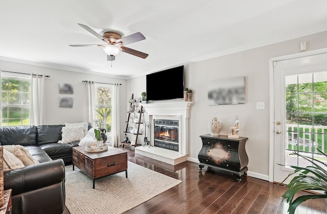 304 Church Rd, Putnam Valley, NY 10579 - living area featuring crown molding, healthy amount of natural light, ceiling fan, dark wood-style flooring, and a glass covered fireplace