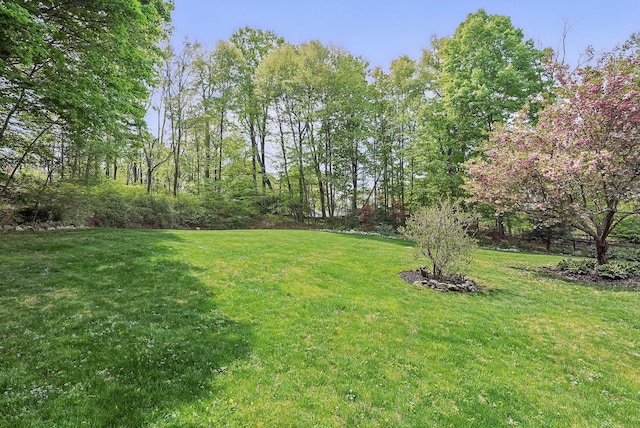 304 Church Rd, Putnam Valley, NY 10579 - view of green lawn
