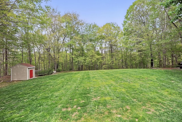 304 Church Rd, Putnam Valley, NY 10579 - view of grassy yard with a shed, an outdoor structure, and a forest view