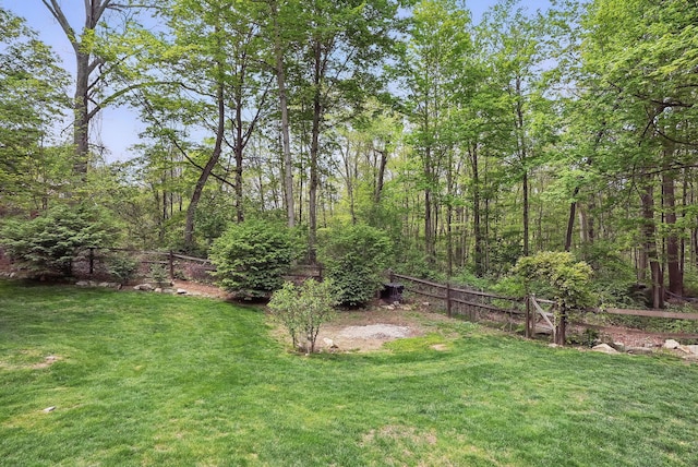304 Church Rd, Putnam Valley, NY 10579 - view of yard