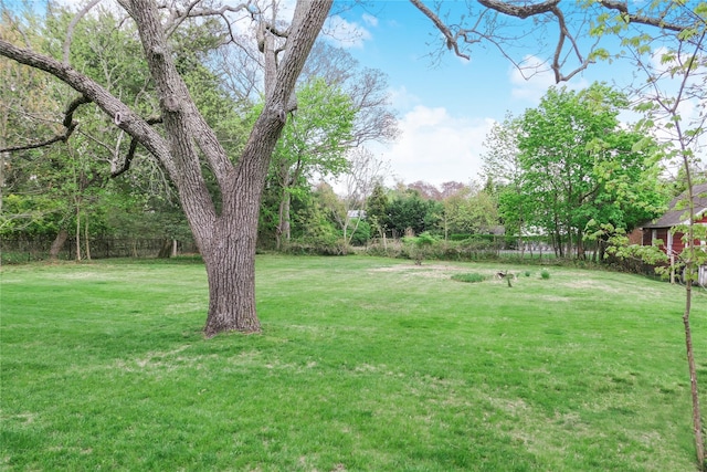 7 N Howells Point Rd, Bellport Village, NY 11713 - view of yard