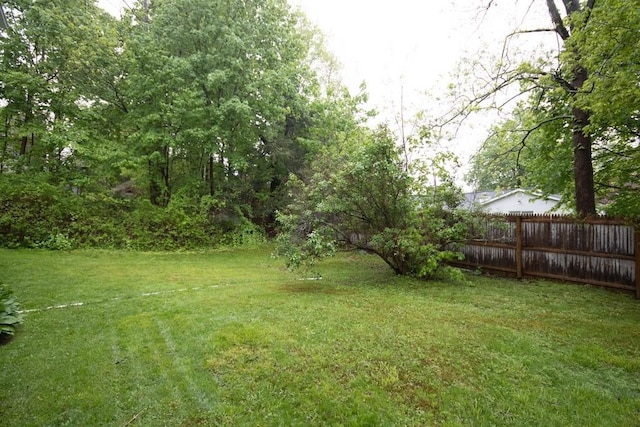 135 Cottage Rd, Carmel, NY 10512 - view of yard