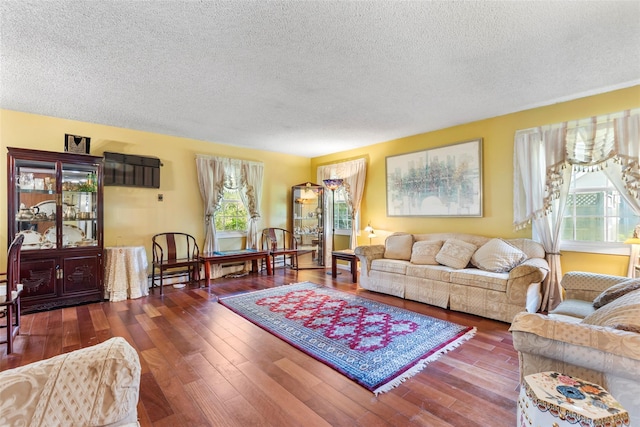 living room featuring a textured ceiling, plenty of natural light, and wood finished floors