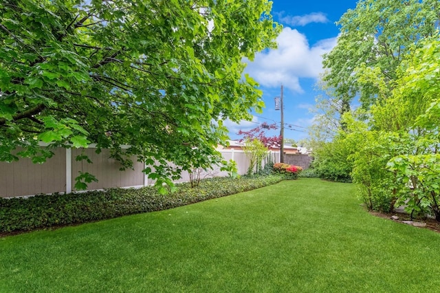 769 Anderson Ave, Franklin Square, NY 11010 - view of yard