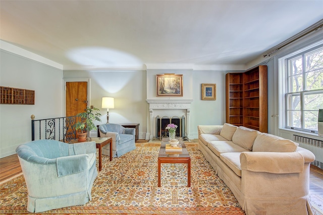 34-06 81st St Unit 22, Jackson Heights, NY 11372 - living room featuring a fireplace and radiator