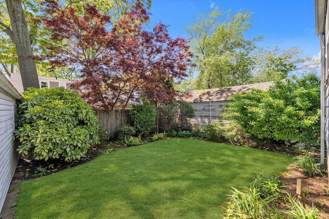 view of yard