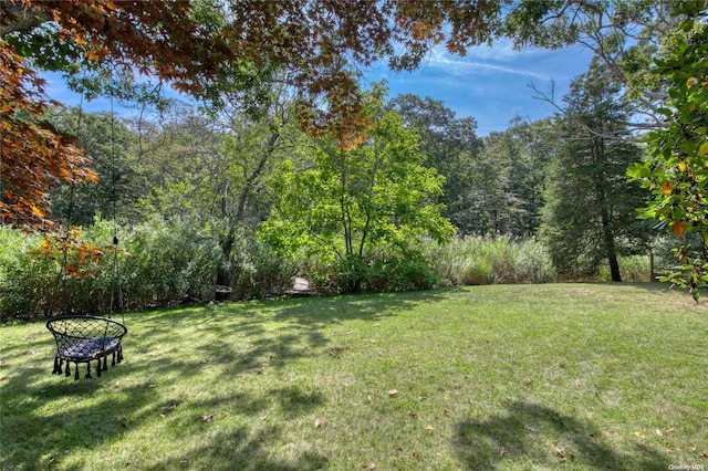 view of green lawn with a wooded view