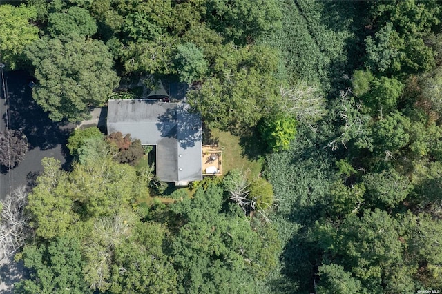 aerial overview of property's location with a heavily wooded area