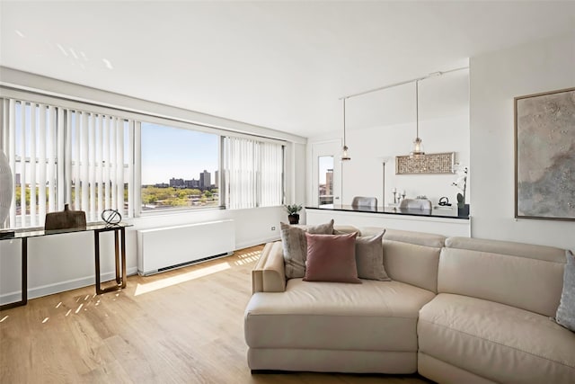 living room with radiator heating unit and wood finished floors